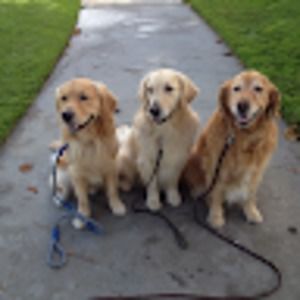 Meet your Posher, Garth